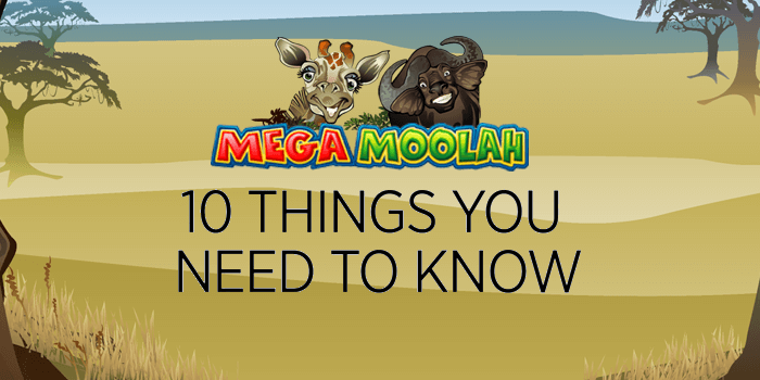 A look at all the things you need to know about the Mega Moolah jackpot slot from Microgaming