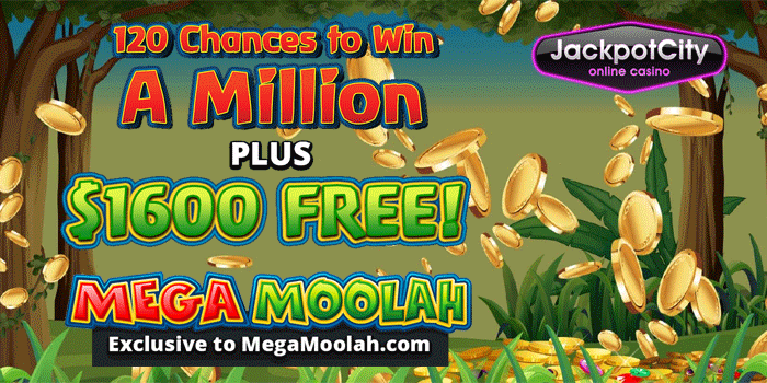 120 Chances plus CA$1,600 Bonus for Canadian players