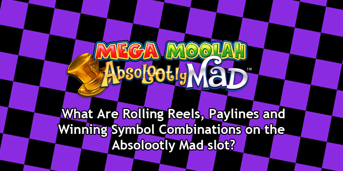 Absolootly Mad slot: What are Rolling Reels, Paylines & Winning Symbols?