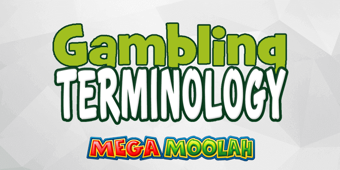 Gambling terminology you should learn