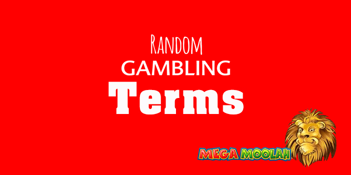 Gambling terms for new players