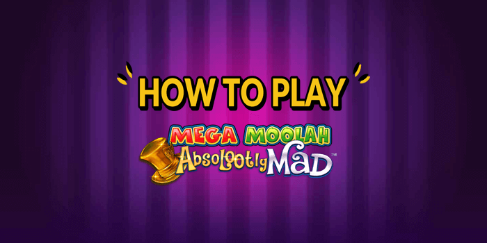 How to play the Absolootly Mad Mega Moolah