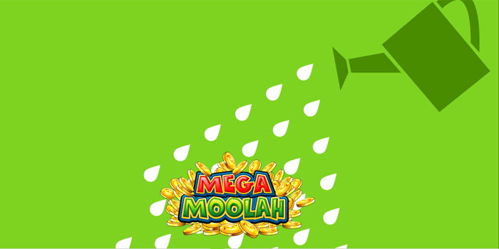 The Mega Moolah jackpot keep on growing past the 18 million mark now