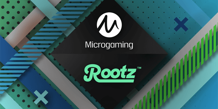 Microgaming makes distribution deal wih Wildz