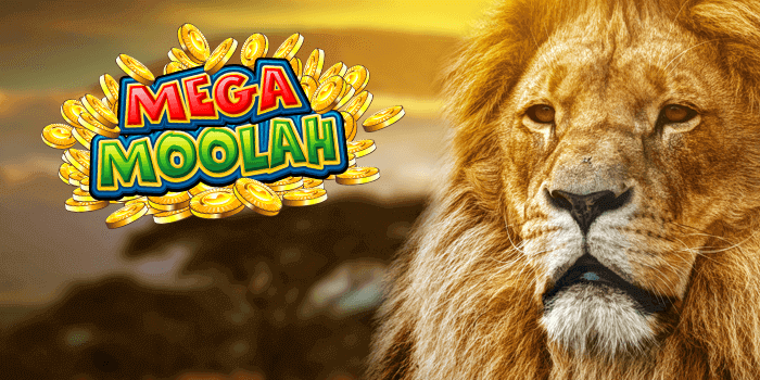 Microgaming offers many progressive jackpot games including King Cashalot, Lots A Loot, Major Millions and Mega Moolah