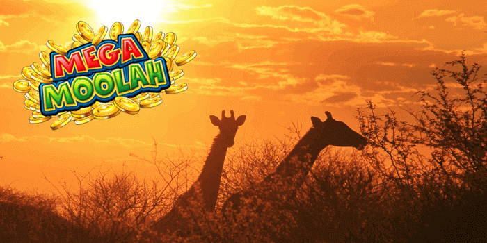 Increase your chances to win Mega Moolah when you understand how your bonus works