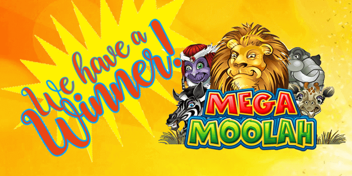 New Zealander wins Mega Moolah on 30 December 2019