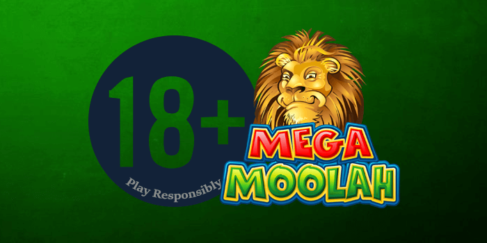 Play Mega Moolah Responsibly
