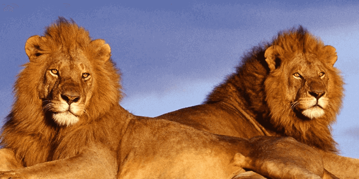 Two wins in two days on Mega Moolah