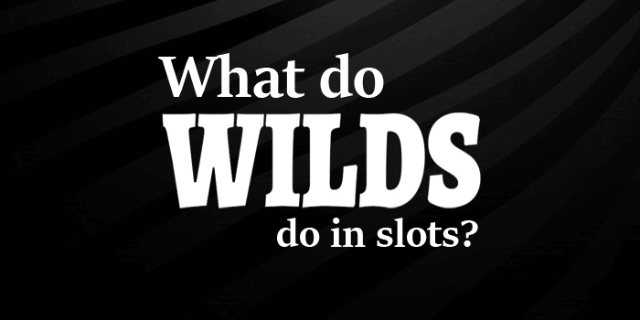 What do Wilds offer in video slots?