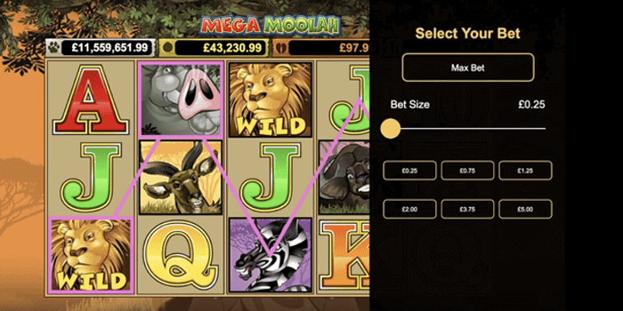 Mega Moolah slot's game features explained: Video