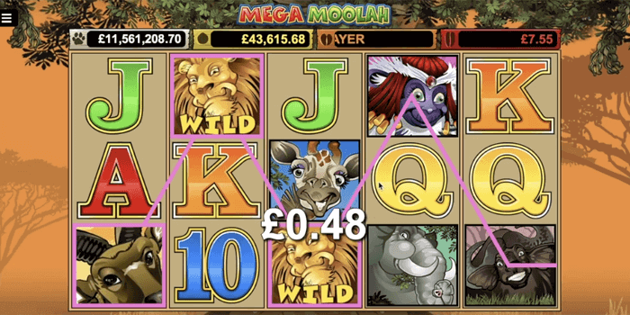 Mega Moolah slot Wilds explained: Video